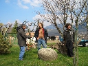 Clicca per visualizzare la foto ...